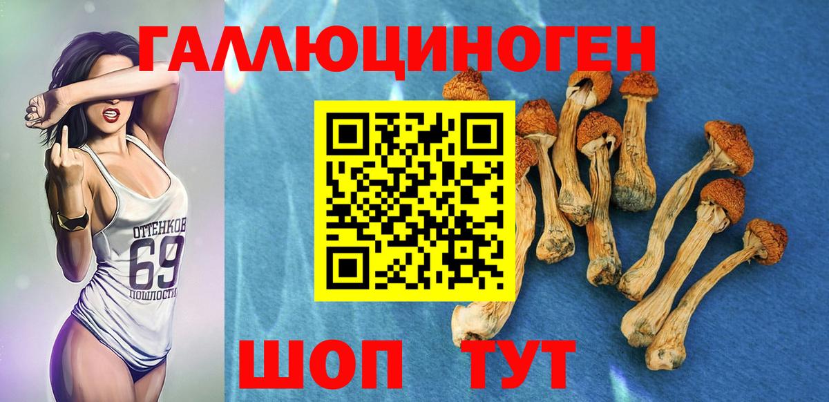 Псилоцибиновые грибы Magic Shrooms  Вход с VPN  Прокопьевск 